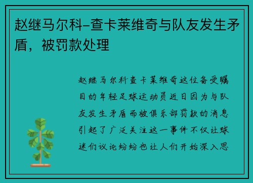赵继马尔科-查卡莱维奇与队友发生矛盾，被罚款处理